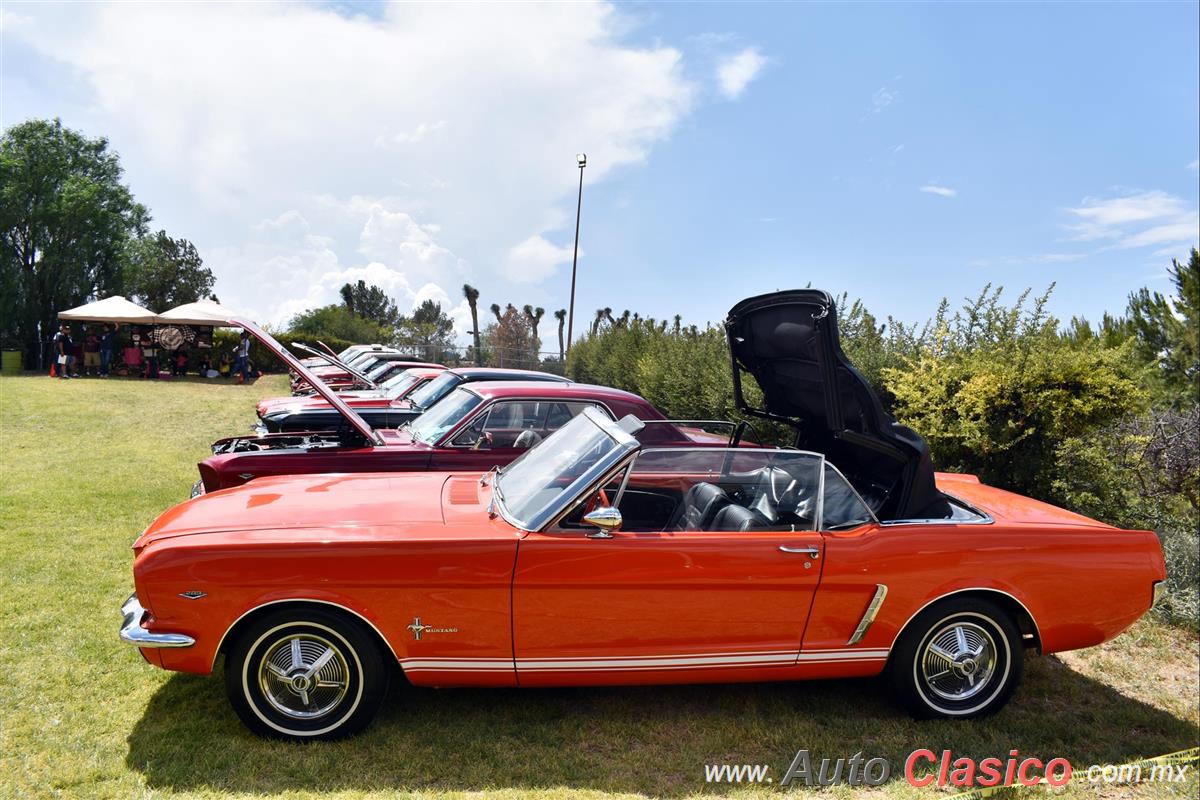 1965 Ford Mustang Convertible Early