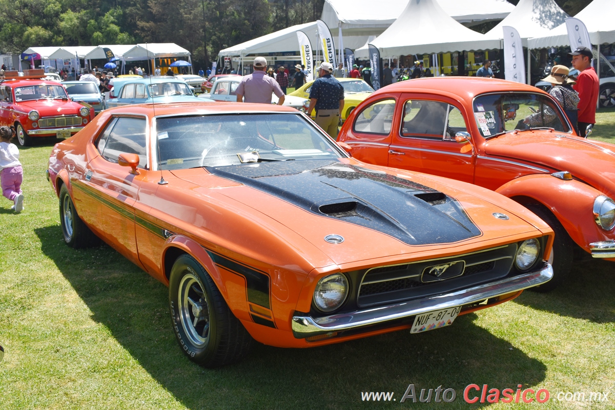 1971 Ford Mustang Hardtop