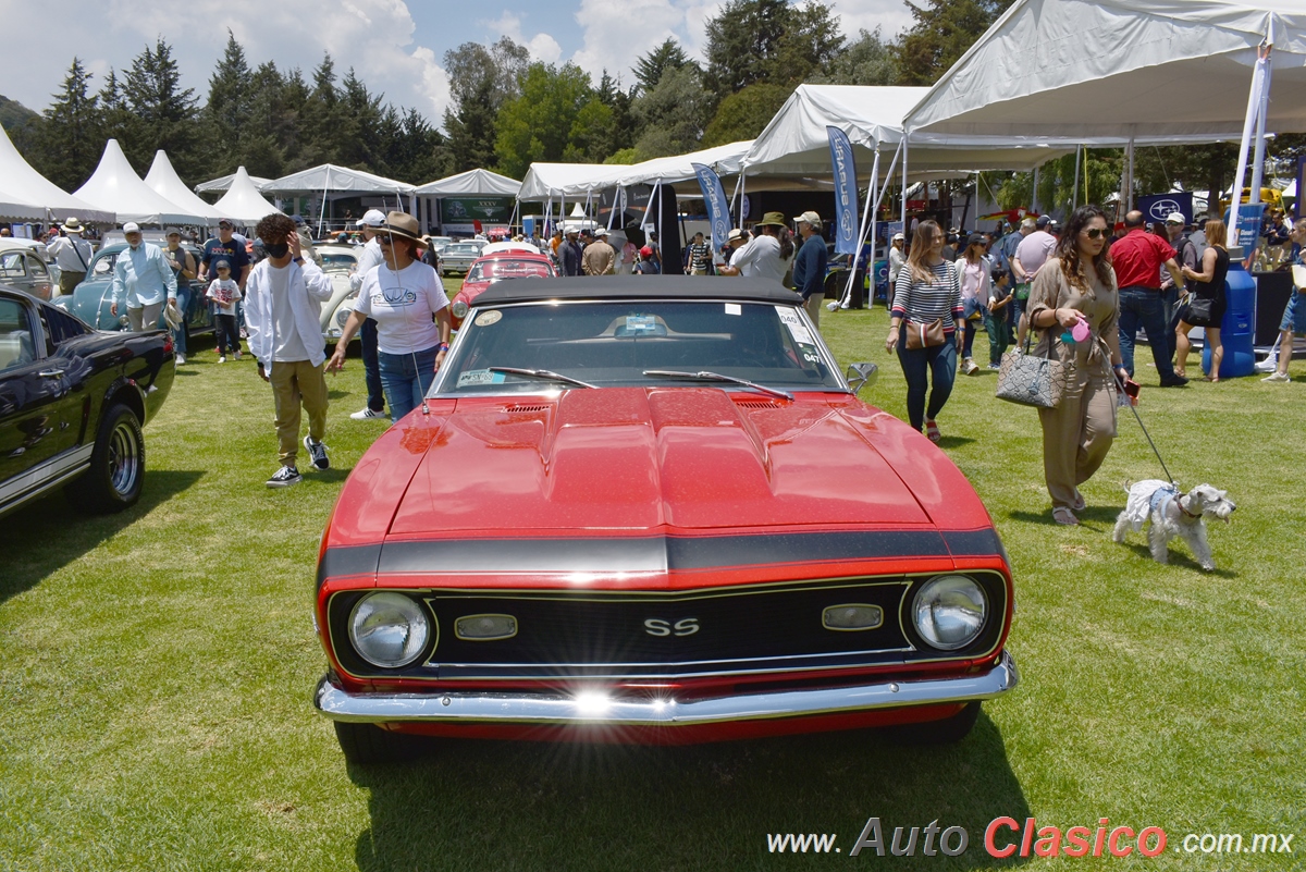 Chevrolet Camaro Convertible