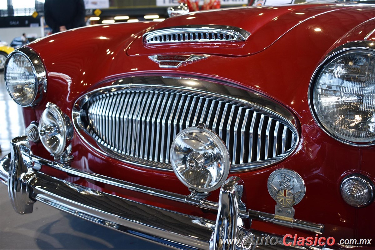 1962 Austin Healey 3000 MKII Motor 6L de 3000cc 136hp