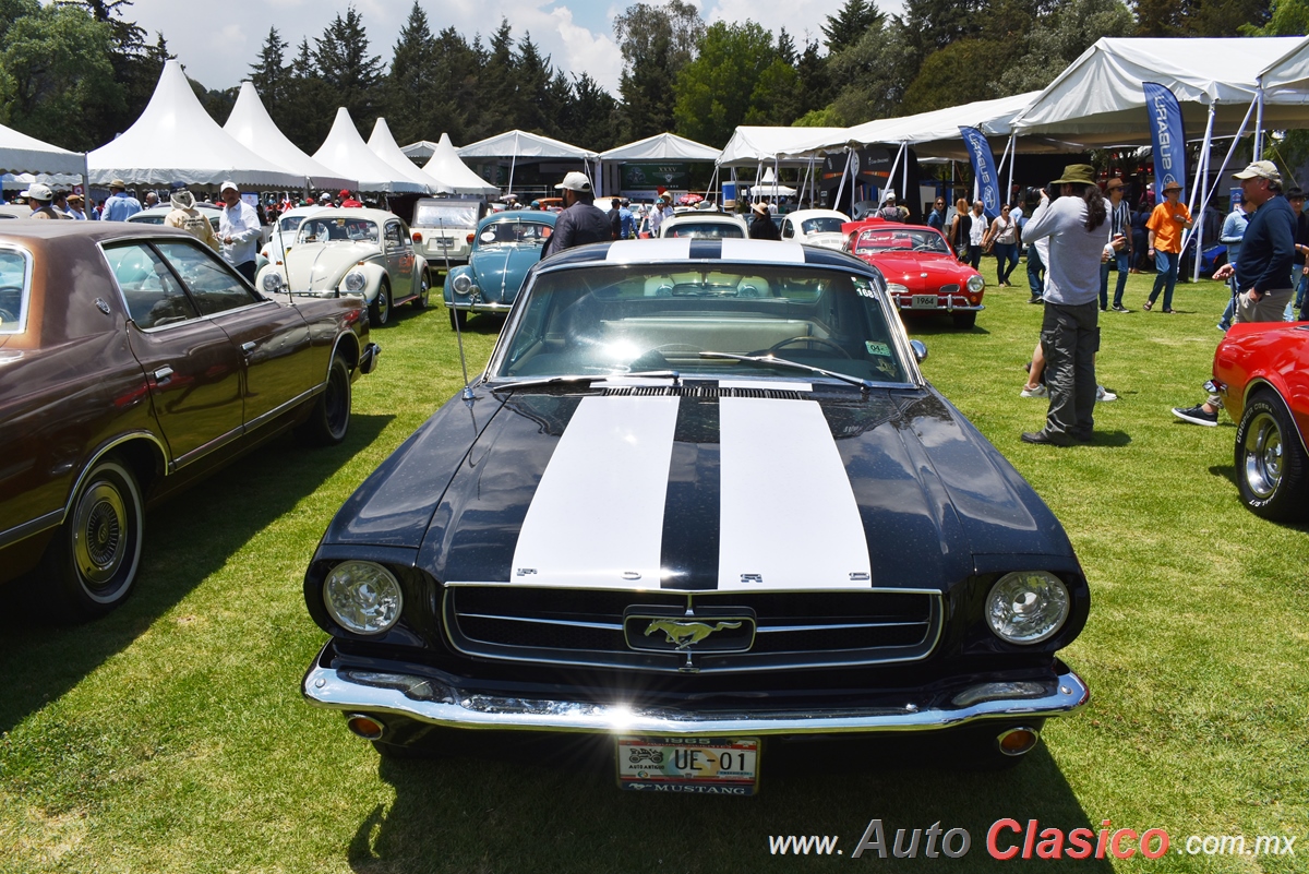 1965 Ford Mustang Fastback