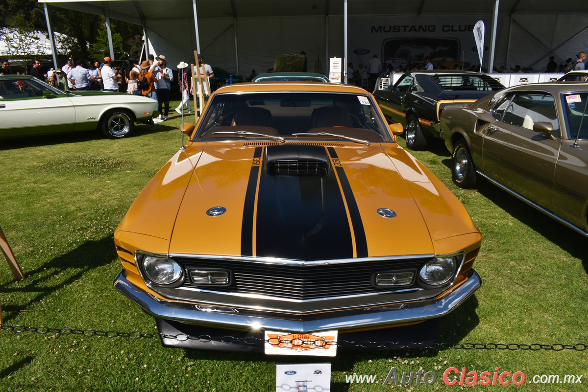 1970 Ford Mustang Mach One