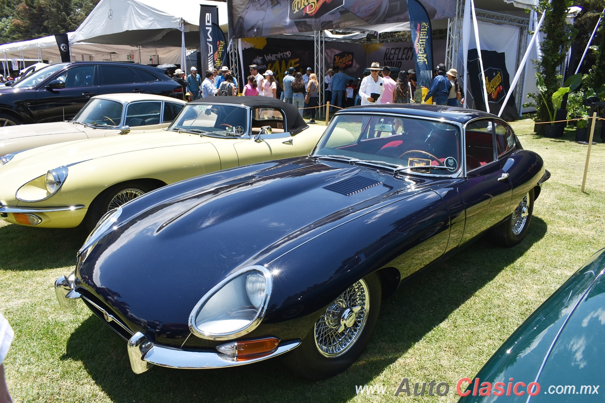 Jaguar E-Type