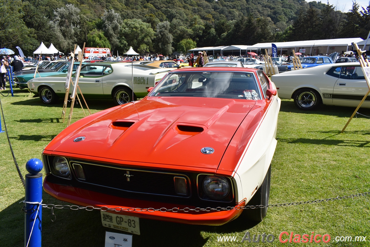 1973 Ford Mustang Mach One