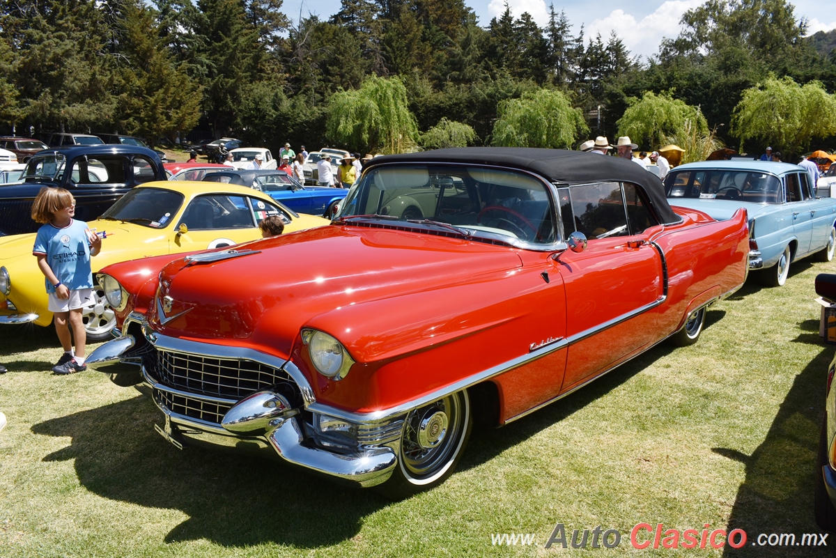 1955 Cadillac 2 Door Convertible