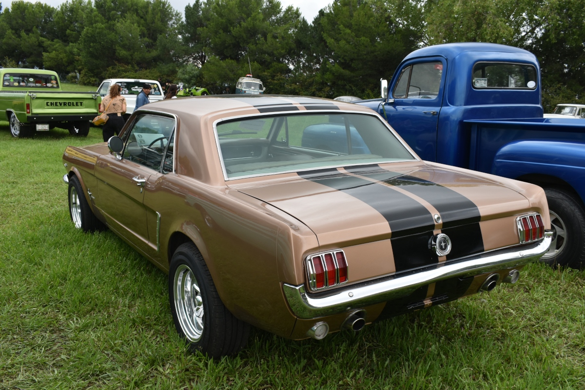 1965 Ford Mustang