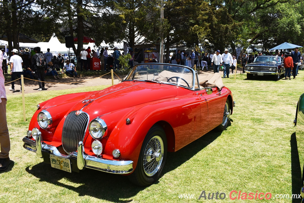 Jaguar XK150