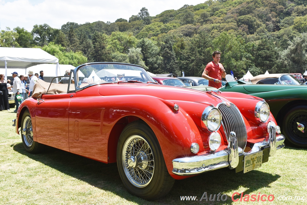 Jaguar XK150