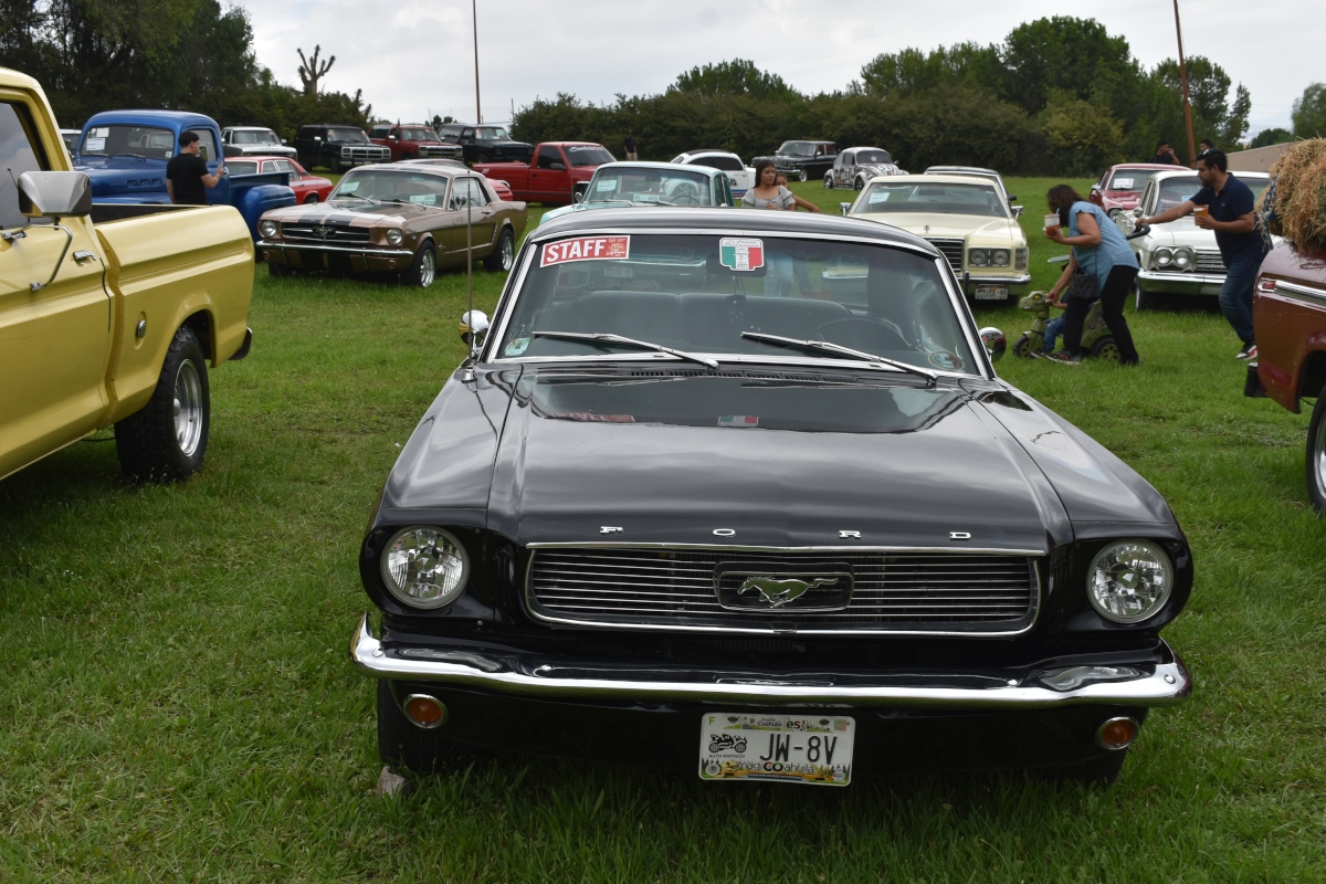 1966 Ford Mustang