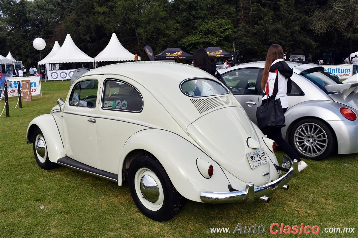 1956 Volkswagen Sedan Oval