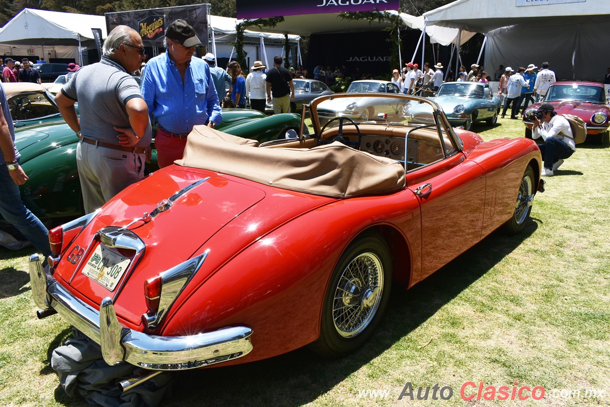 Jaguar XK150