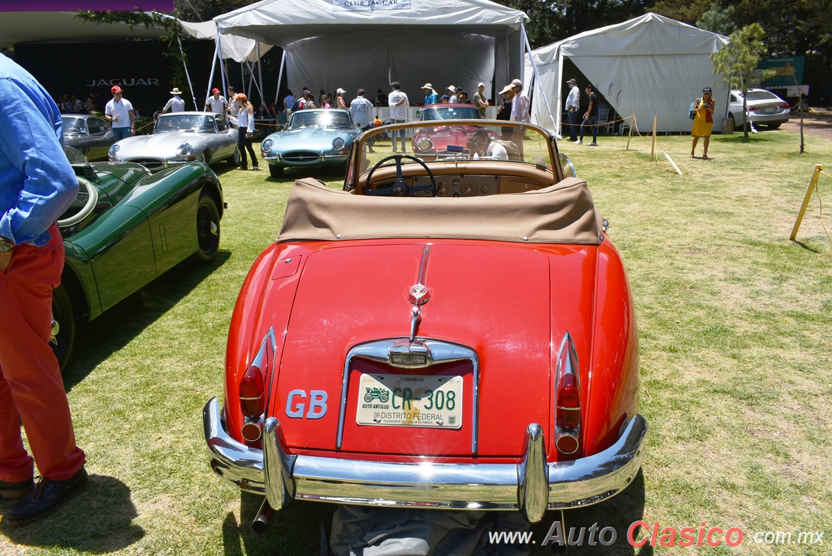 Jaguar XK150