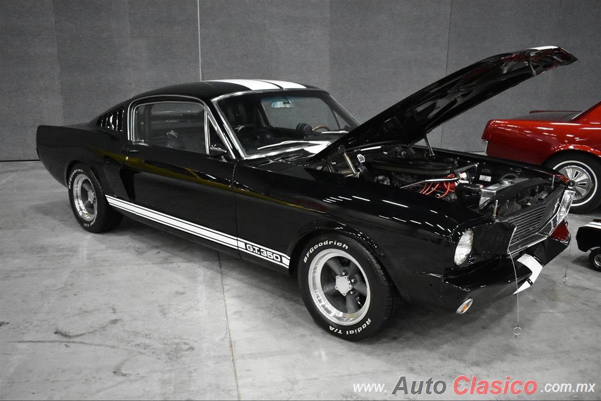 1966 Ford Mustang Shelby GT350