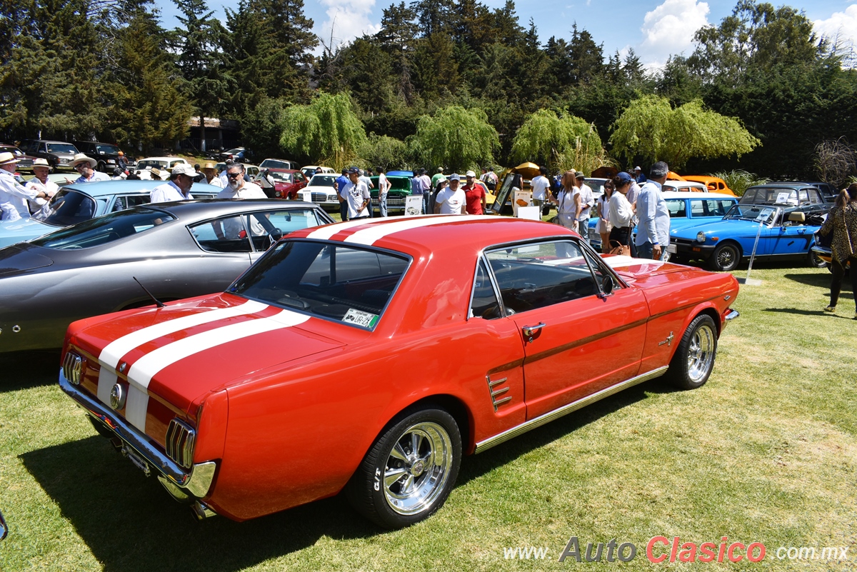 1966 Ford Mustang Hardtop