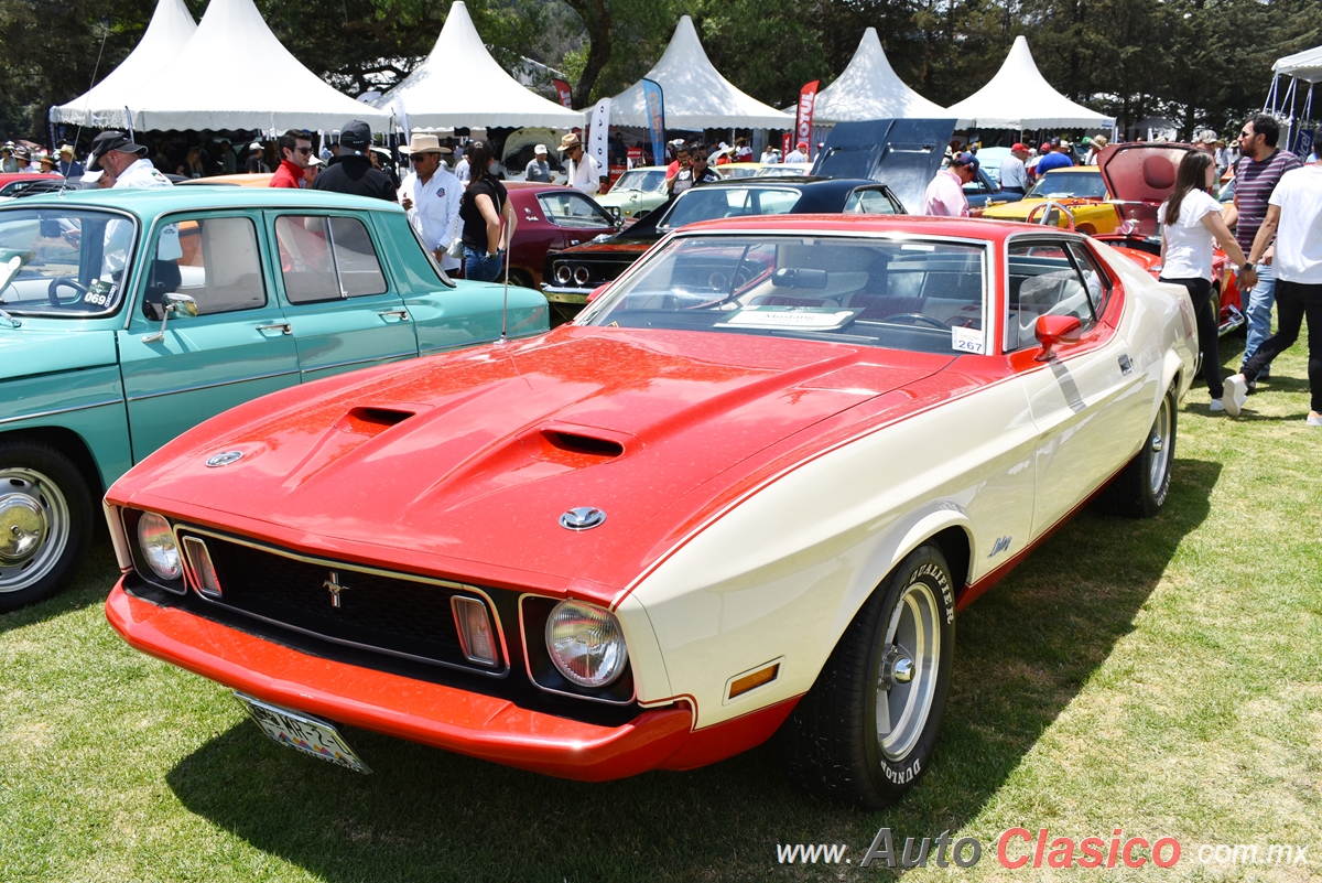 1973 Ford Mustang Mach 1 Sprint