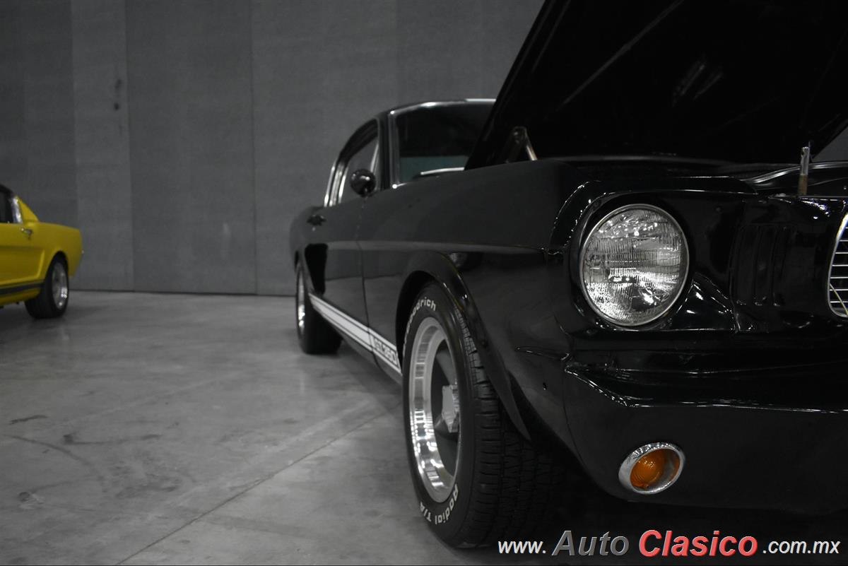 1966 Ford Mustang Shelby GT350