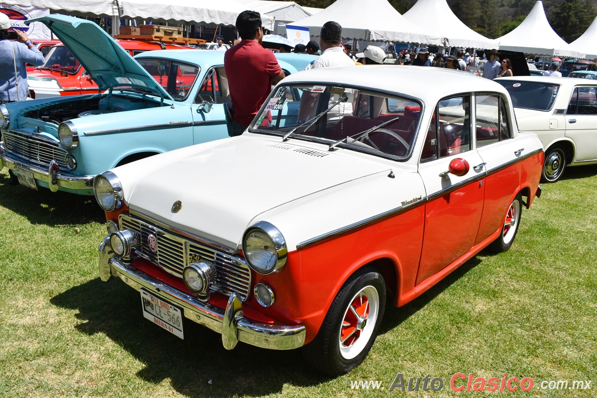 1961 Datsun Bluebird