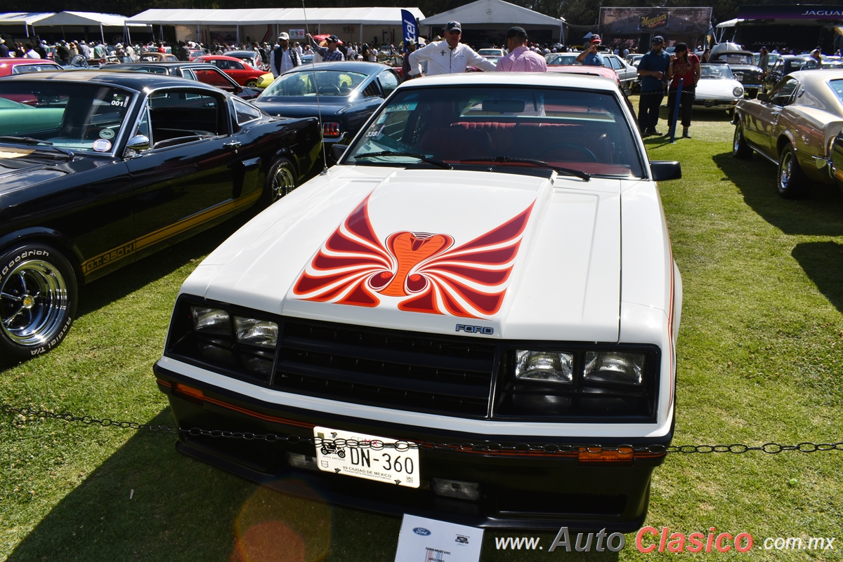 1980 Ford Mustang