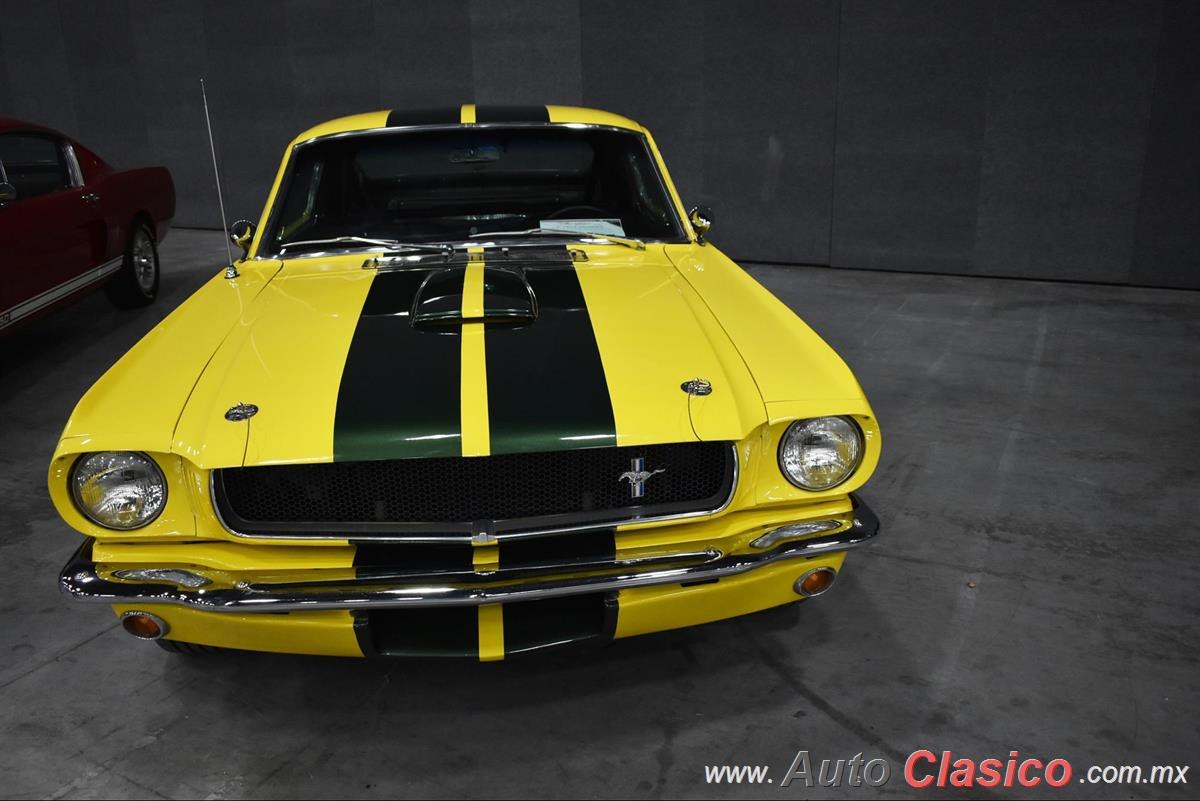 1965 Ford Mustang Shelby GT350