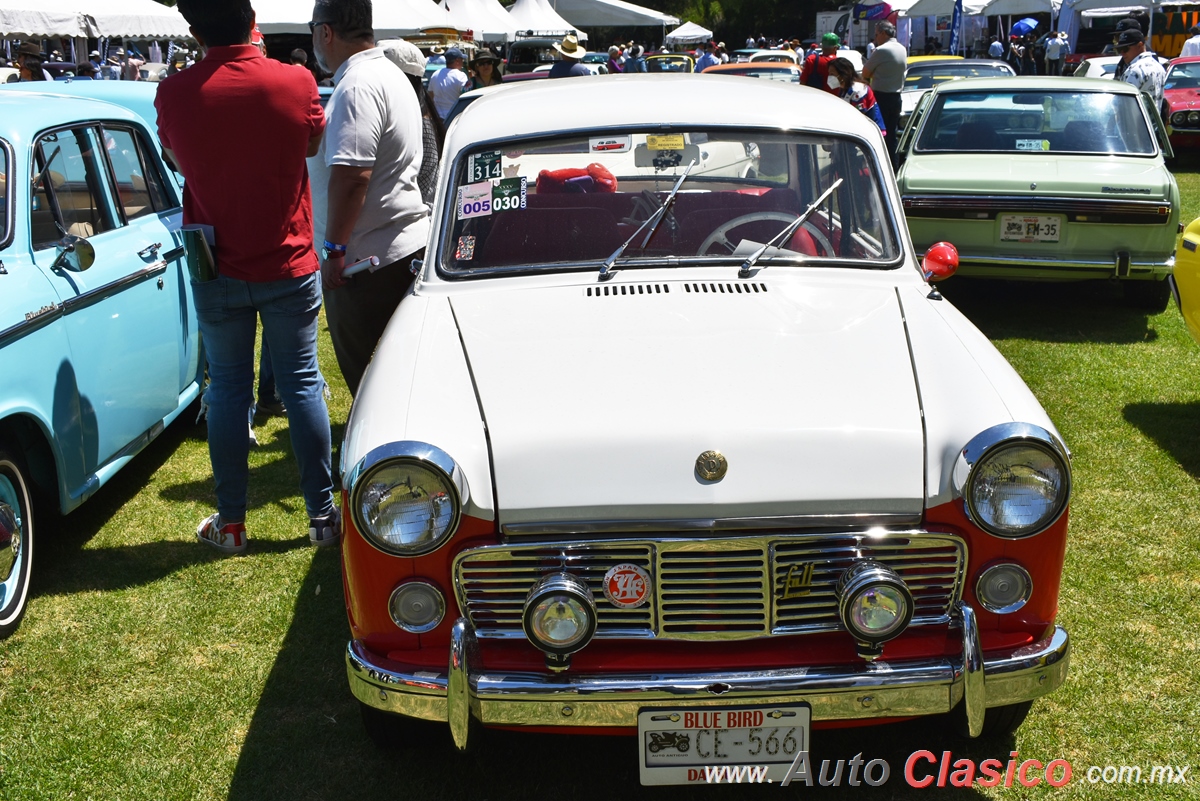 1961 Datsun Bluebird