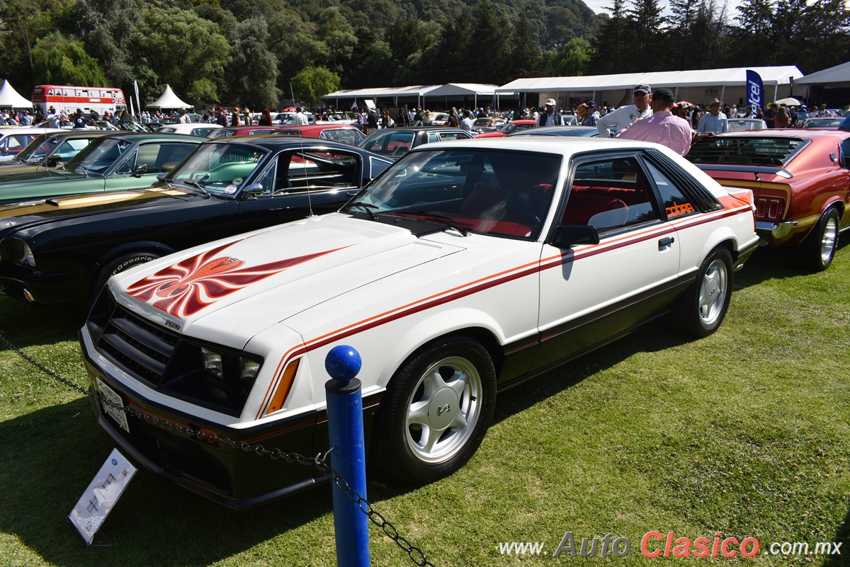 1980 Ford Mustang