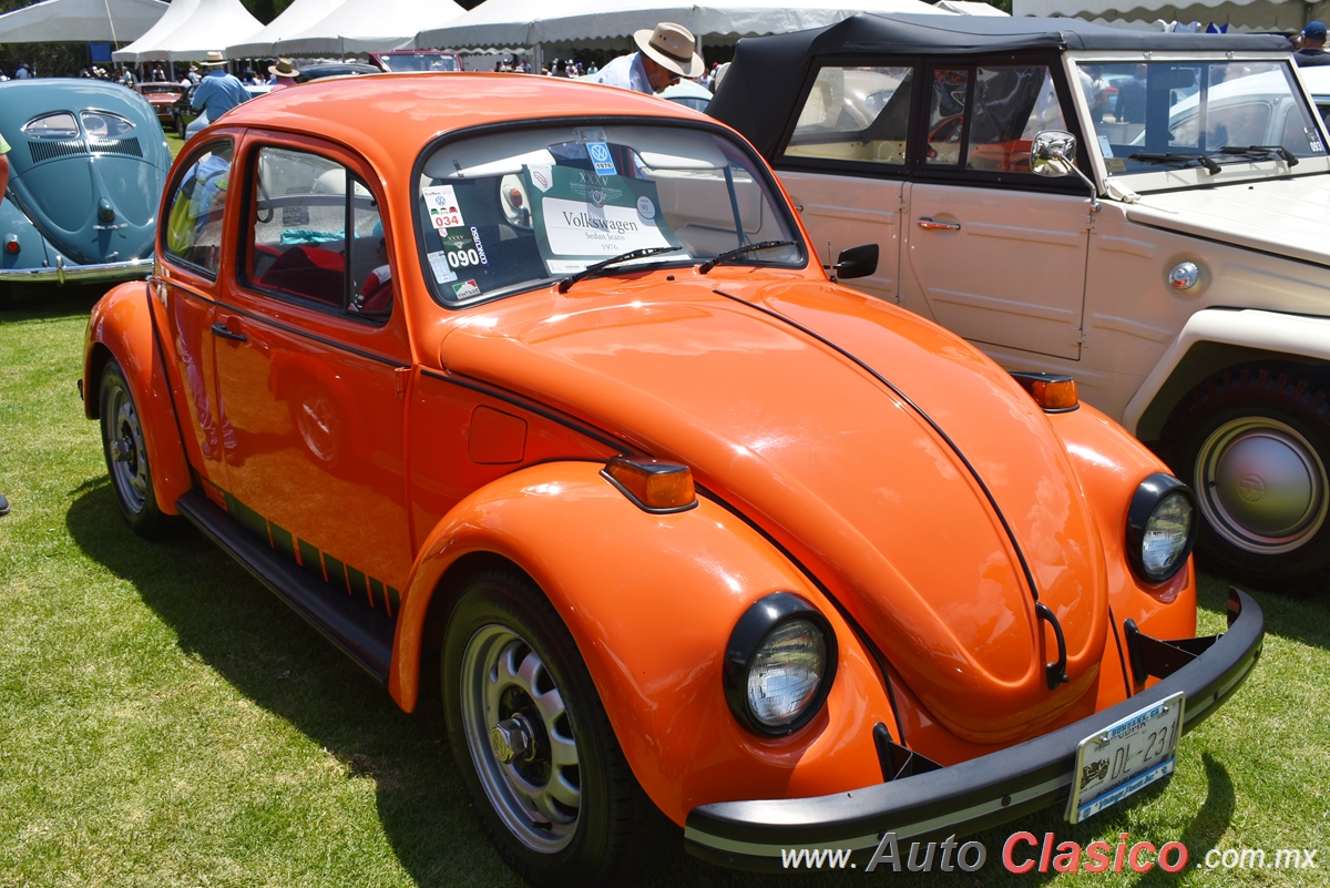 1976 Volkswagen Sedan Jeans