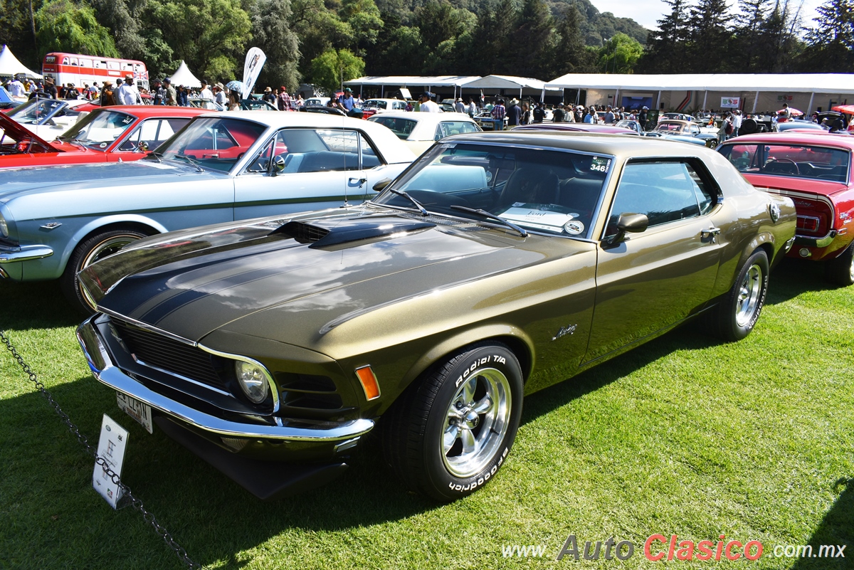 1970 Ford Mustang Hardtop