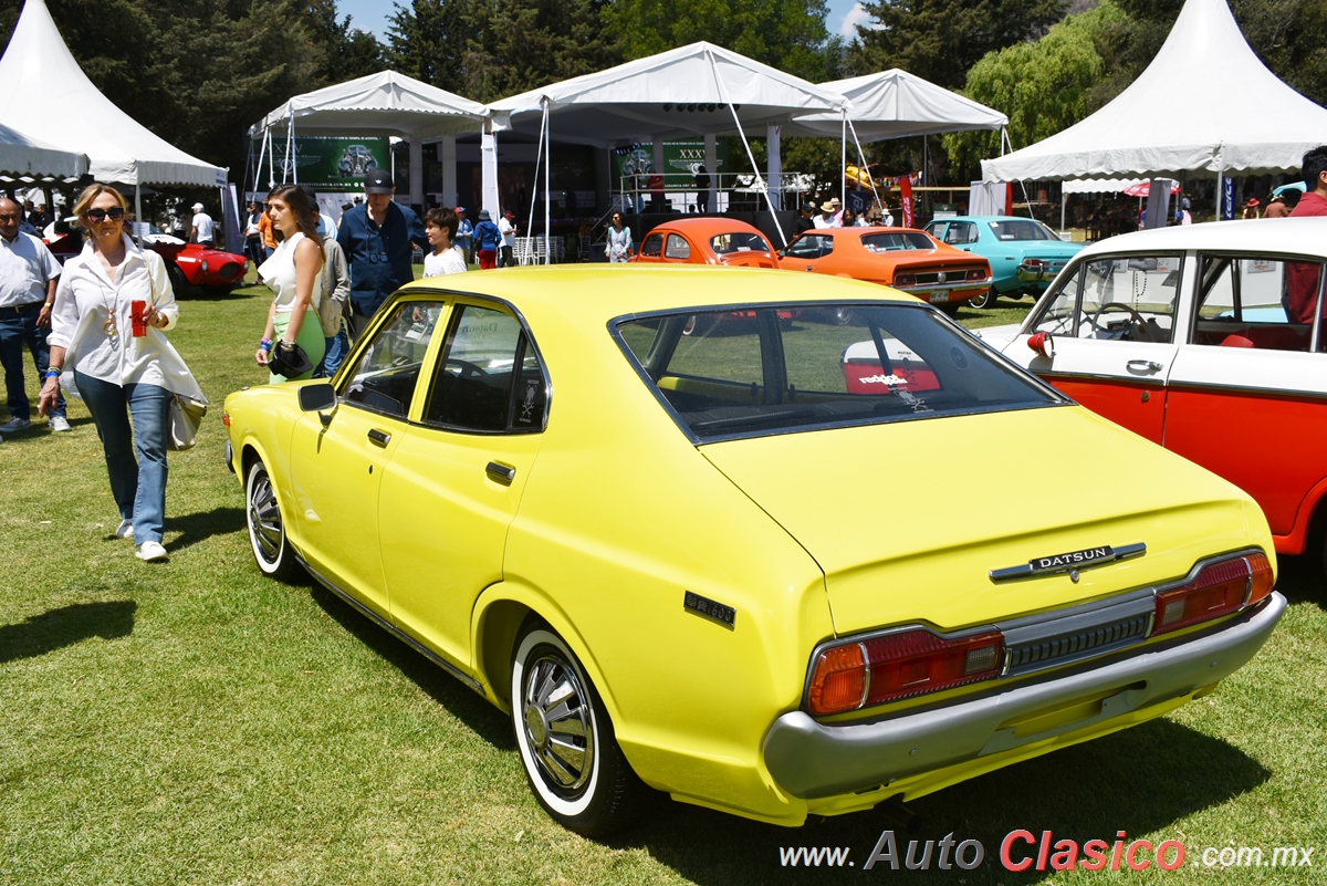 1974 Datsun Violet 710