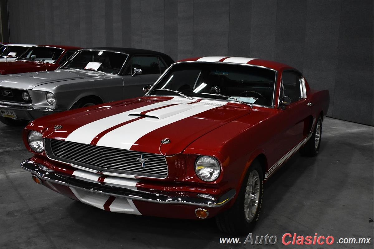 1966 Ford Mustang Shelby GT350