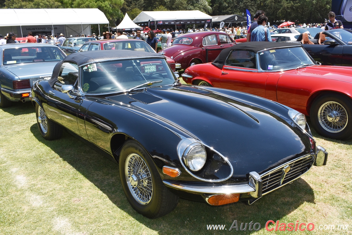 Jaguar E-Type