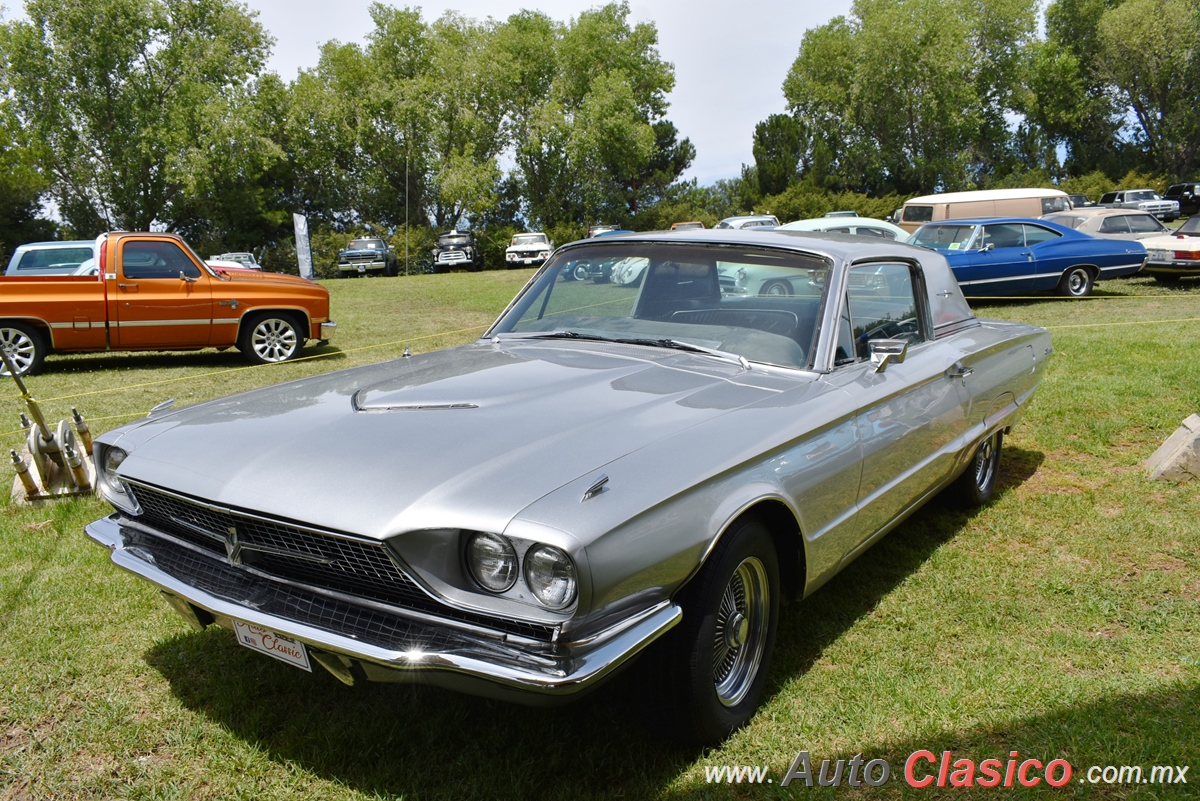 1966 Ford Thundebird