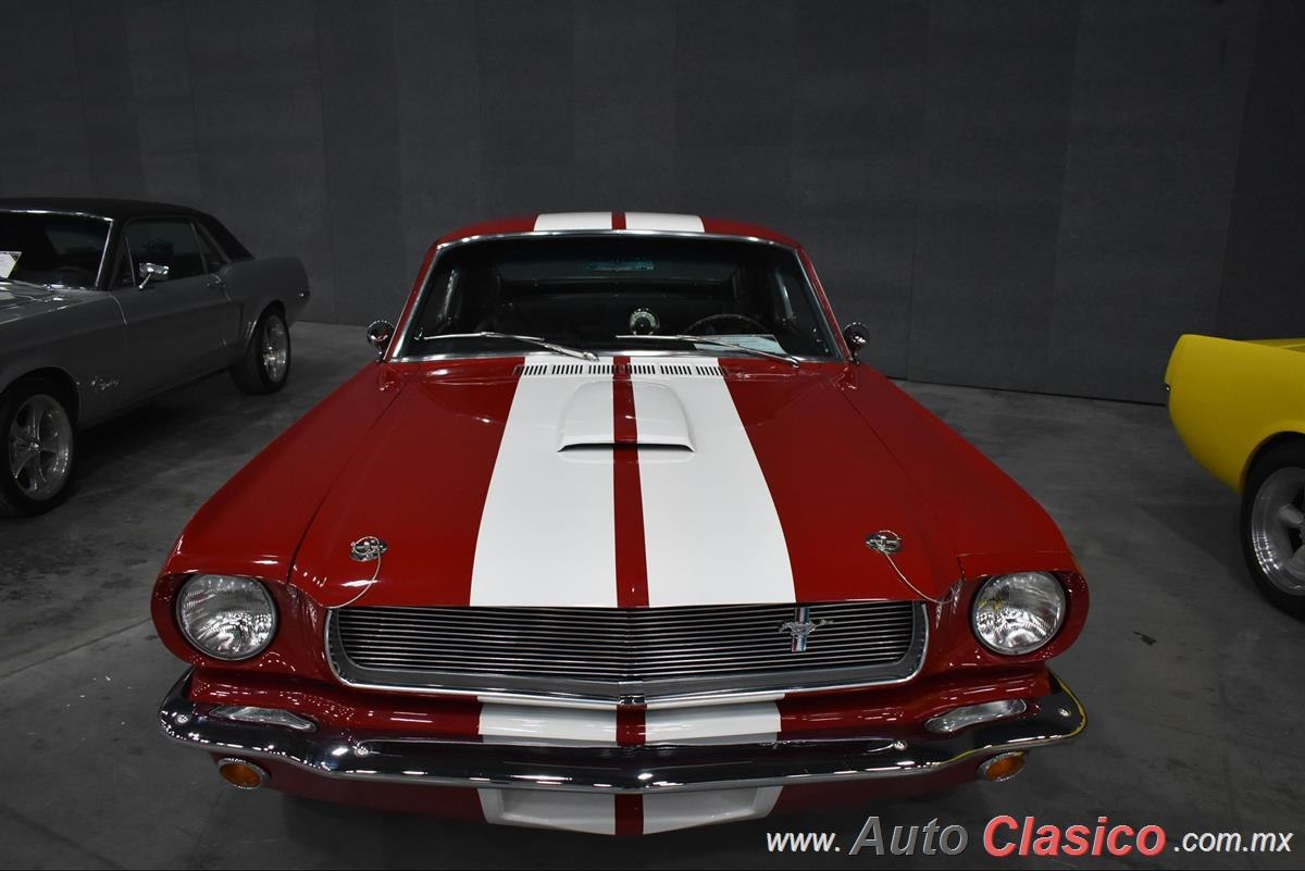 1966 Ford Mustang Shelby GT350