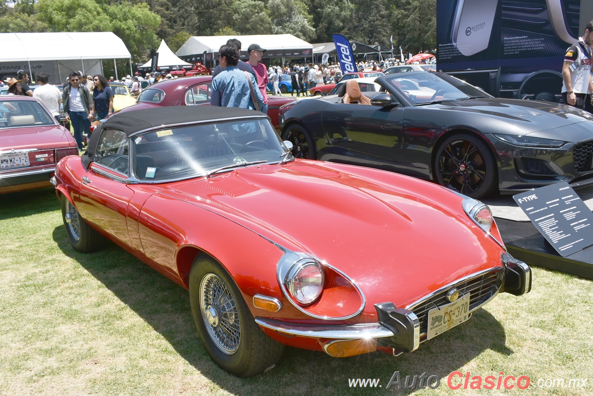 Jaguar E-Type