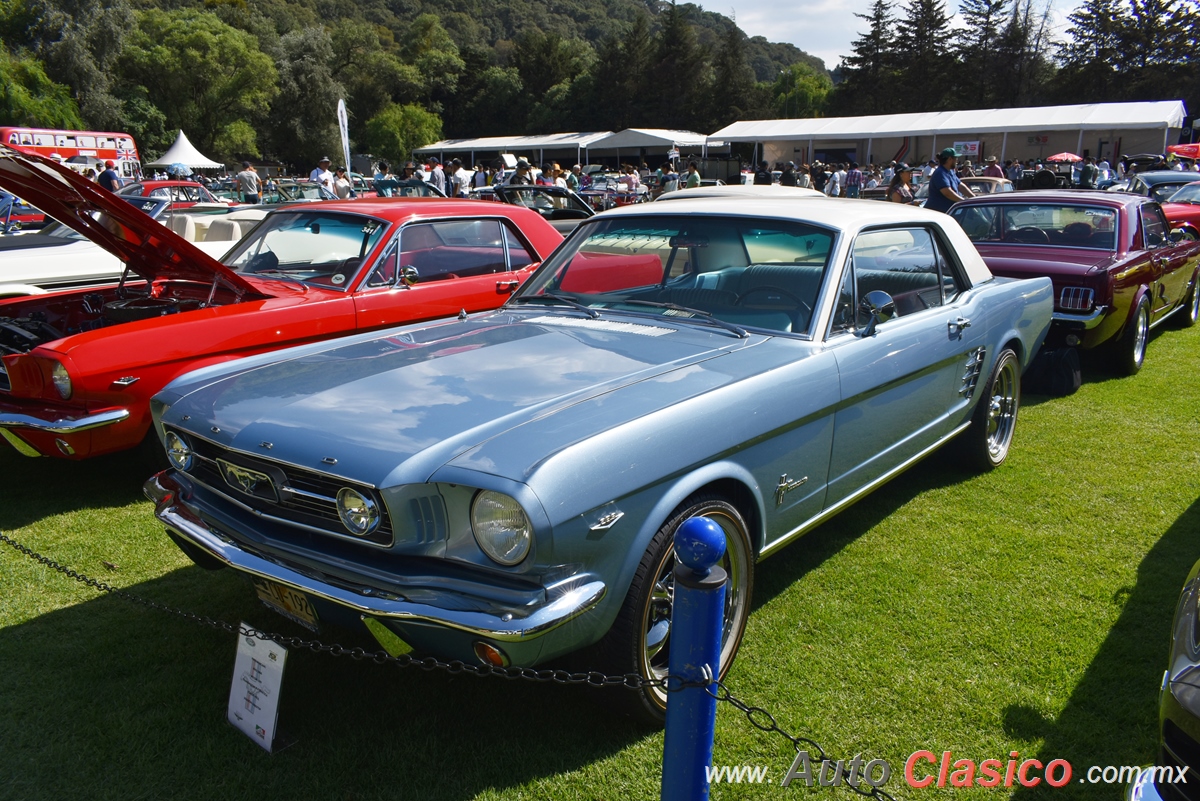 1966 Ford Mustang Hardtop