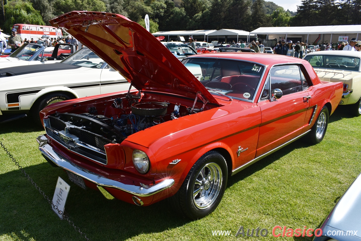 1965 Ford Mustang Hardtop