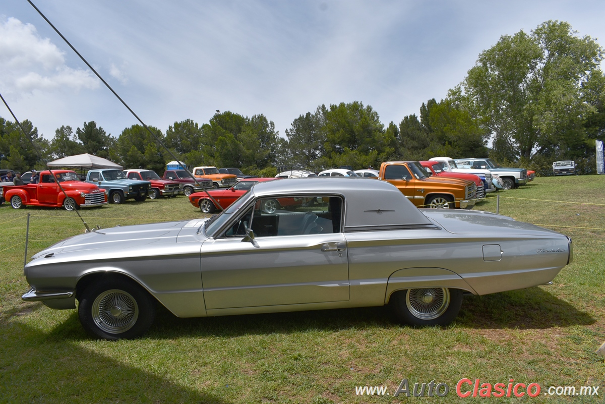 1966 Ford Thundebird