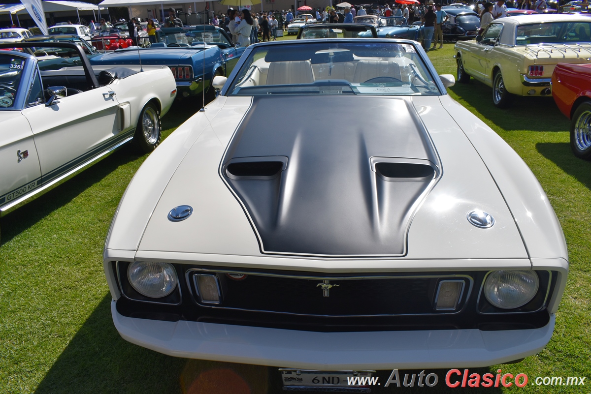 1973 Ford Mustang Convertible