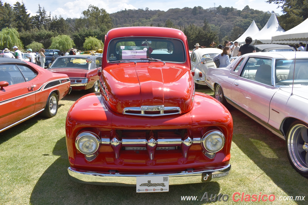 1951 Ford F100 Pickup