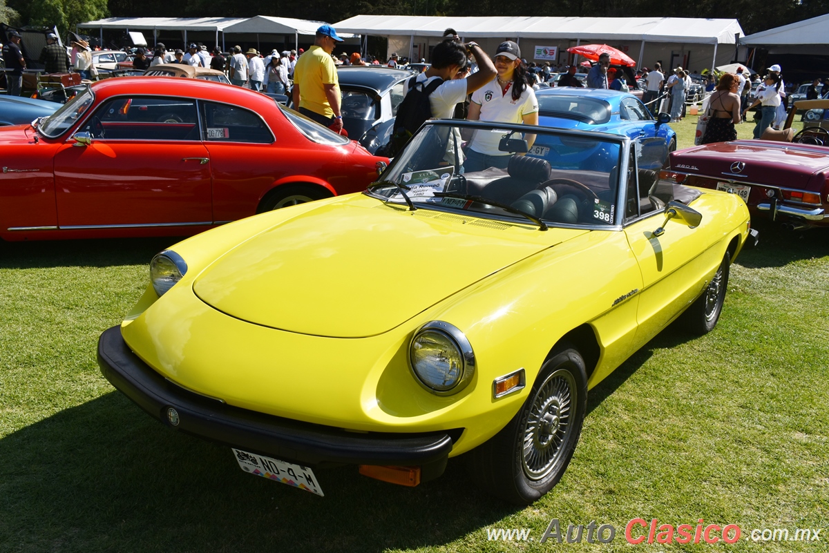 1980 Alfa Romeo Spider