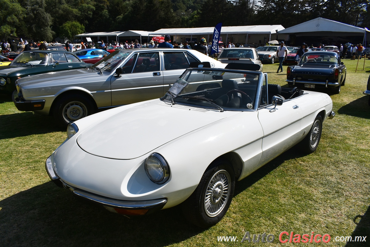 1976 Alfa Romeo Spider