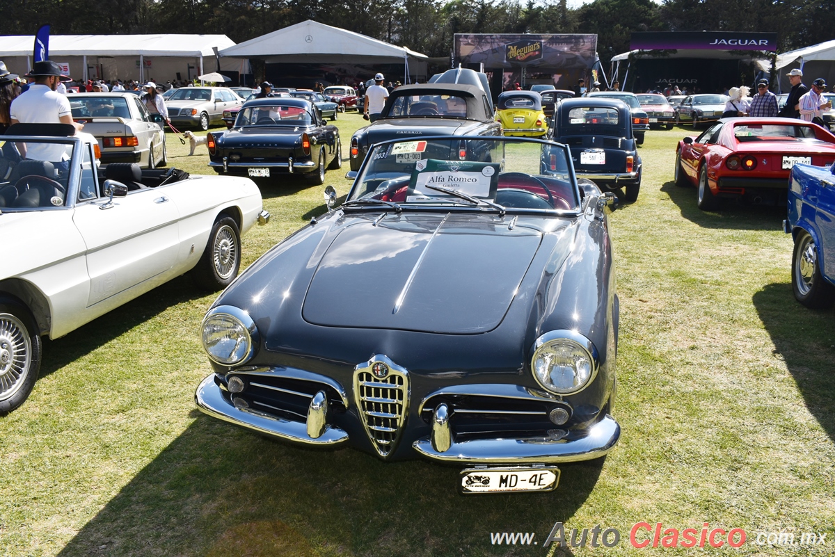 1958 Alfa Romeo Giuletta