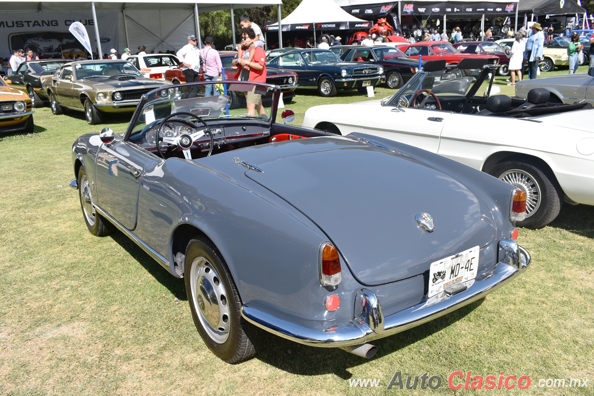 1958 Alfa Romeo Giuletta