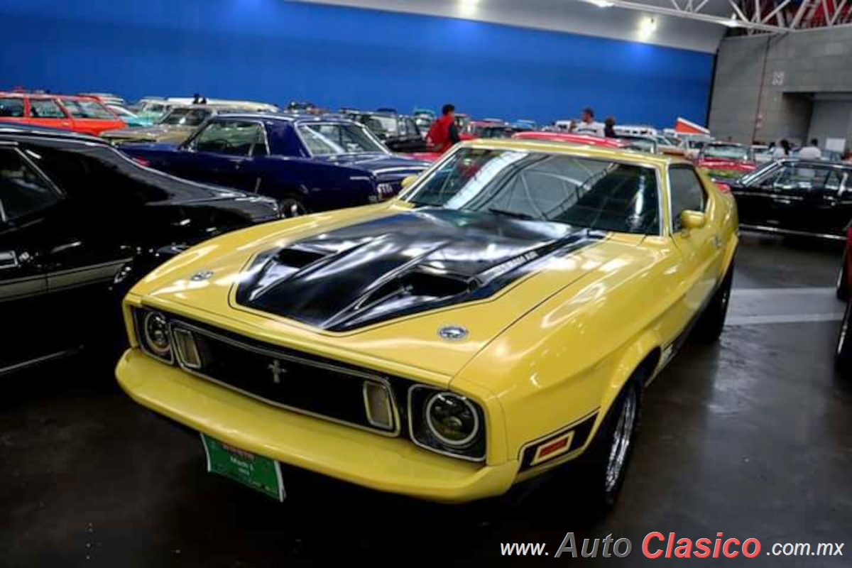 1973 Ford Mustang Mach