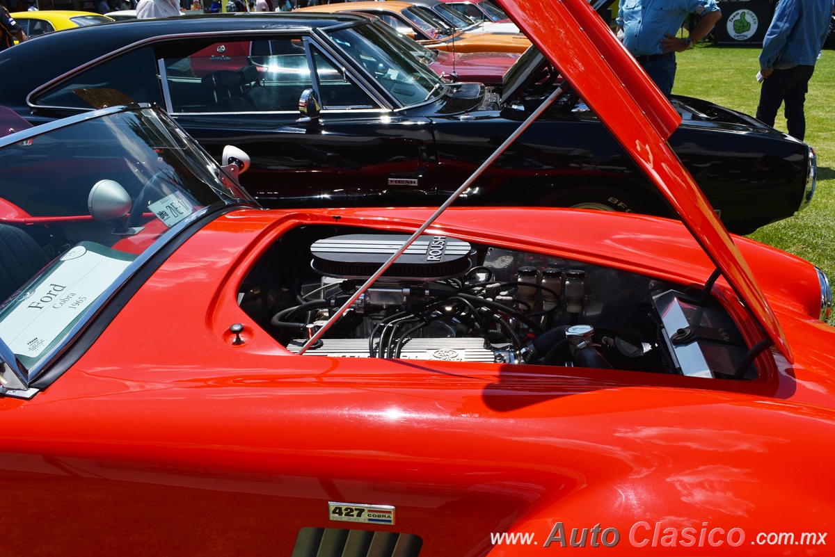 1965 Ford Cobra