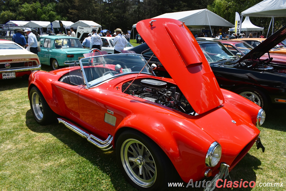 1965 Ford Cobra