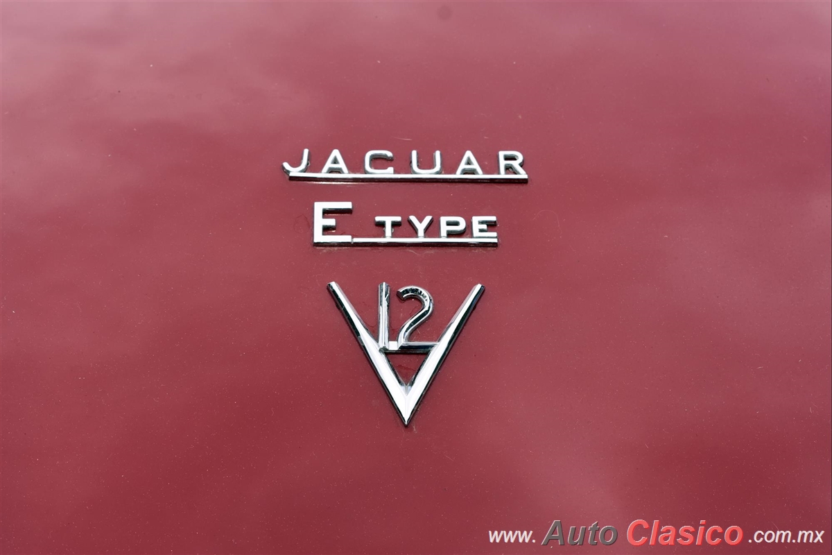 1974 Jaguar XKE Serie III OTS