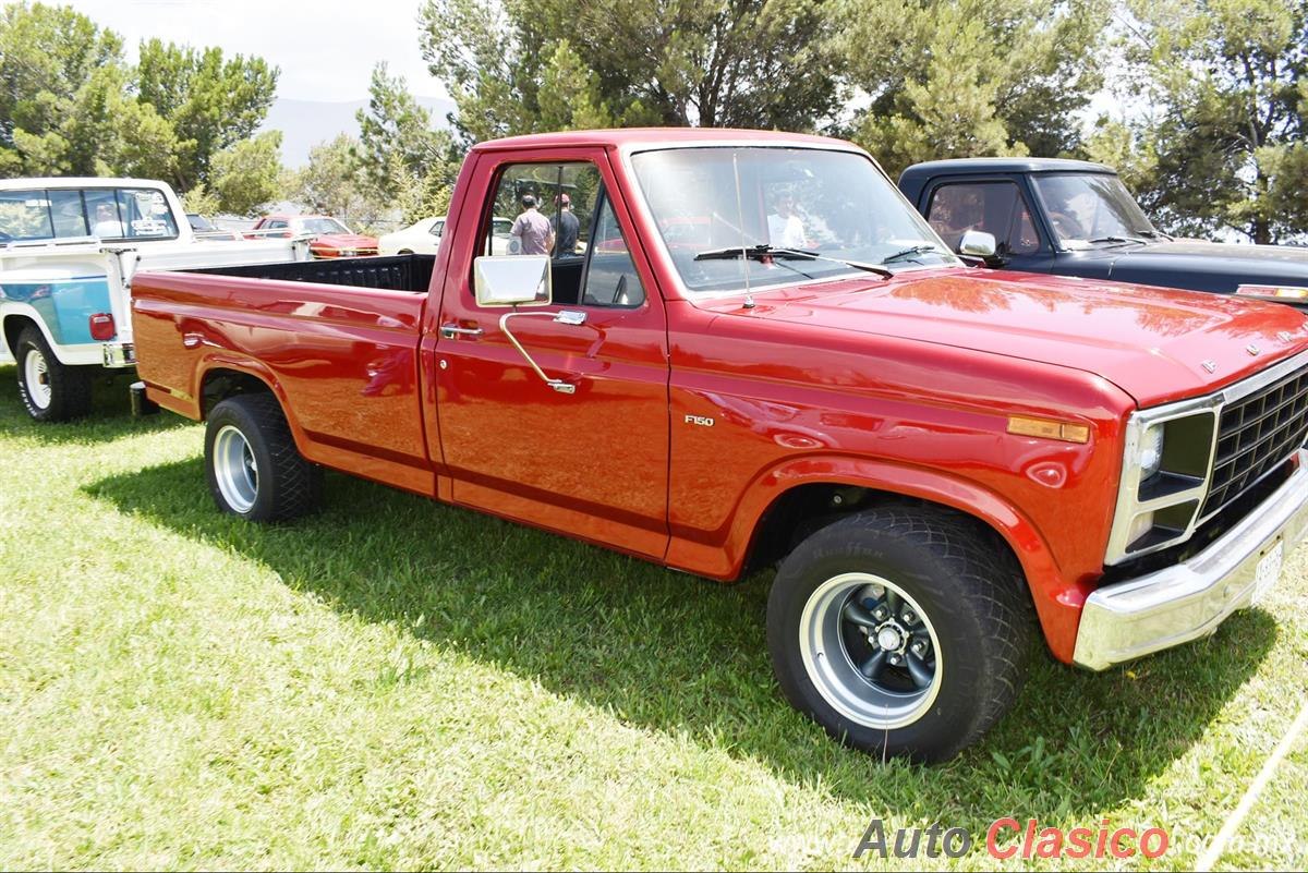 1981 Ford Pickup