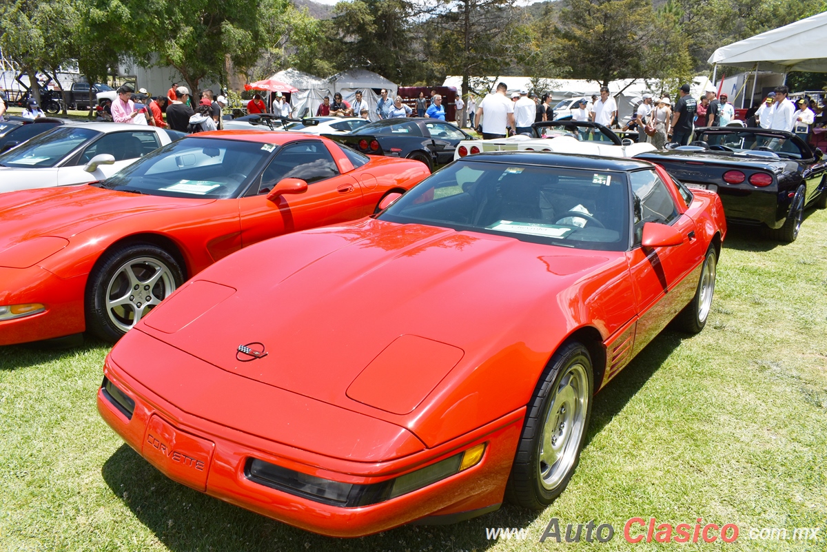 1991 Chevrolet Corvette C4