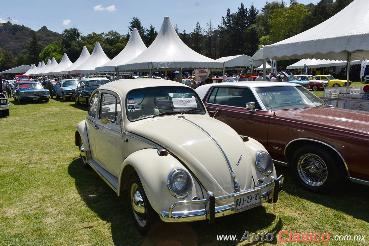 1965 Volkswagen Sedan