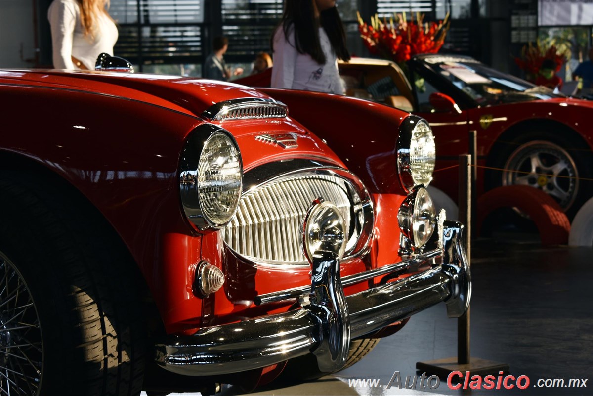 1962 Austin Healey 3000 MKII Motor 6L de 3000cc 136hp